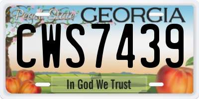 GA license plate CWS7439