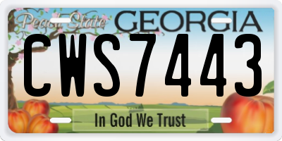 GA license plate CWS7443