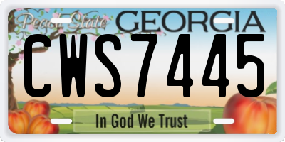 GA license plate CWS7445