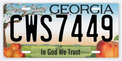 GA license plate CWS7449