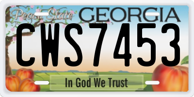 GA license plate CWS7453