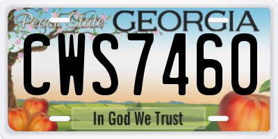 GA license plate CWS7460
