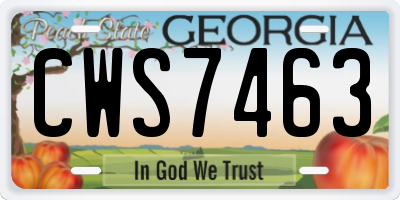 GA license plate CWS7463