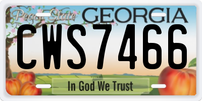 GA license plate CWS7466