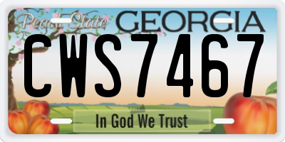 GA license plate CWS7467