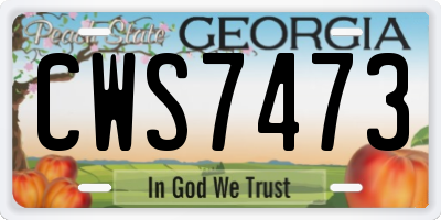 GA license plate CWS7473