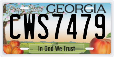 GA license plate CWS7479