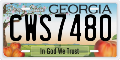 GA license plate CWS7480