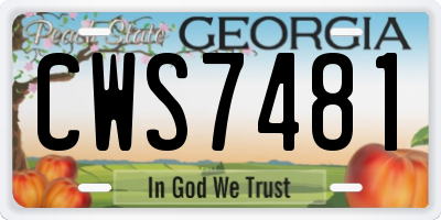 GA license plate CWS7481