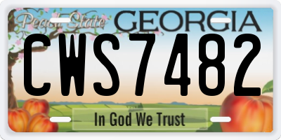 GA license plate CWS7482
