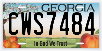 GA license plate CWS7484