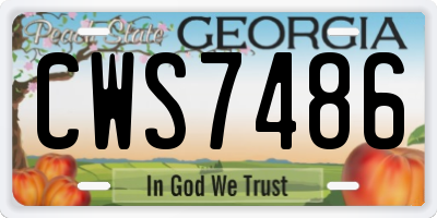 GA license plate CWS7486