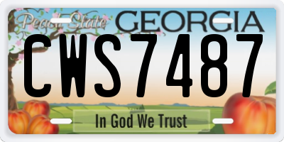 GA license plate CWS7487