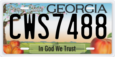 GA license plate CWS7488