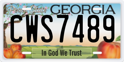 GA license plate CWS7489