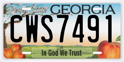 GA license plate CWS7491