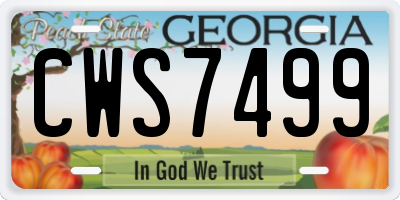 GA license plate CWS7499