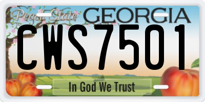 GA license plate CWS7501