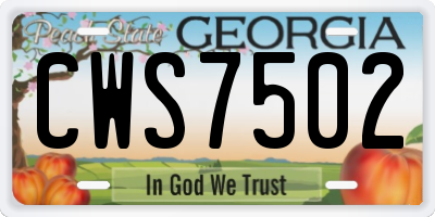 GA license plate CWS7502