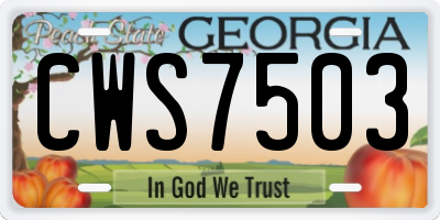 GA license plate CWS7503