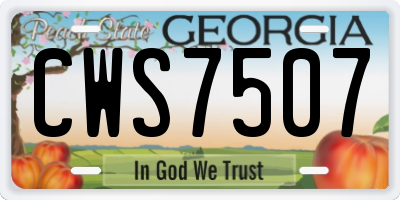 GA license plate CWS7507