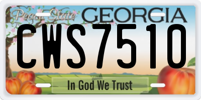 GA license plate CWS7510