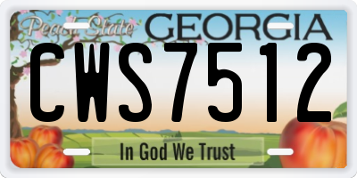 GA license plate CWS7512