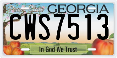 GA license plate CWS7513