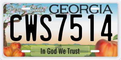 GA license plate CWS7514