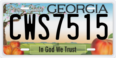 GA license plate CWS7515