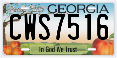 GA license plate CWS7516
