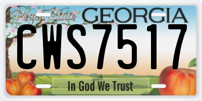 GA license plate CWS7517