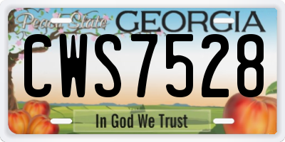 GA license plate CWS7528