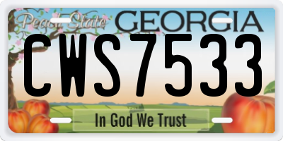 GA license plate CWS7533