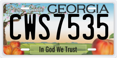 GA license plate CWS7535