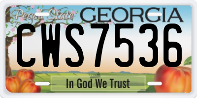 GA license plate CWS7536