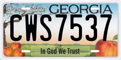 GA license plate CWS7537