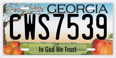 GA license plate CWS7539