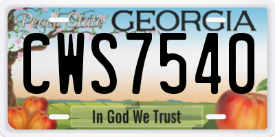 GA license plate CWS7540