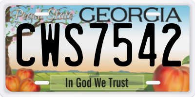 GA license plate CWS7542