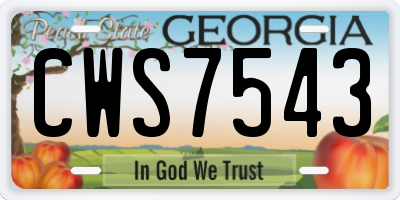 GA license plate CWS7543