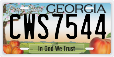 GA license plate CWS7544