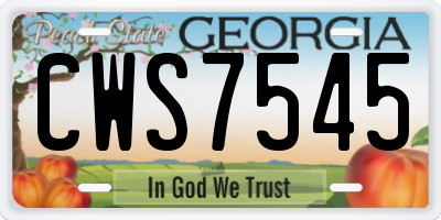GA license plate CWS7545