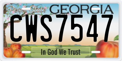 GA license plate CWS7547