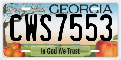 GA license plate CWS7553