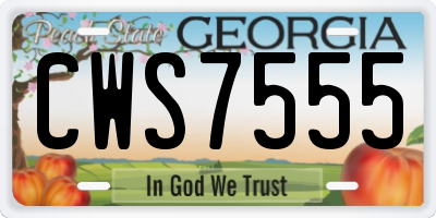 GA license plate CWS7555