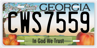 GA license plate CWS7559