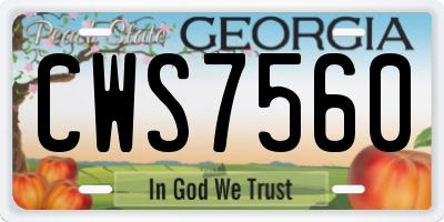 GA license plate CWS7560