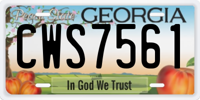 GA license plate CWS7561