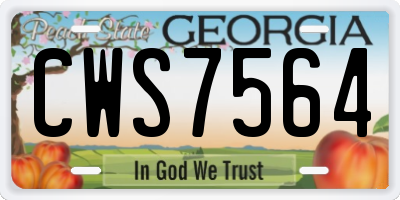 GA license plate CWS7564